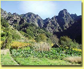 Blick vom Curral Tal auf den Pico do Gato