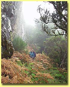 Baumheide und Steilw�nde