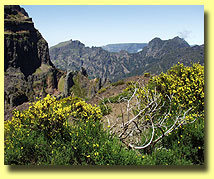 Blick Richtung West zum Paul da Serra